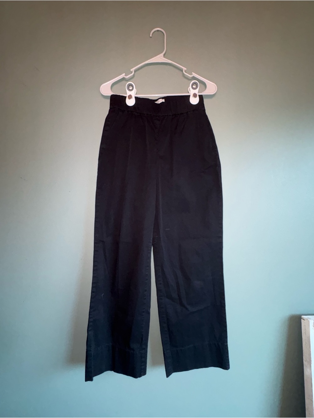 Everlane Black Cotton Wide-Leg Pants